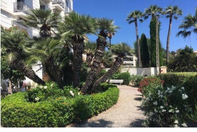 Winter Palace Cannes Esterno foto